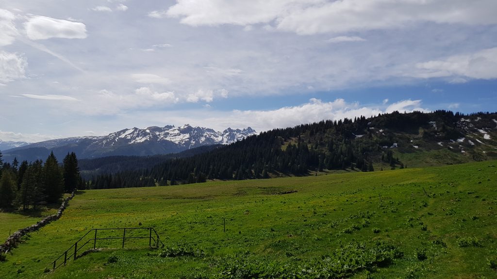 Looking across the meadows to the Pizol region.