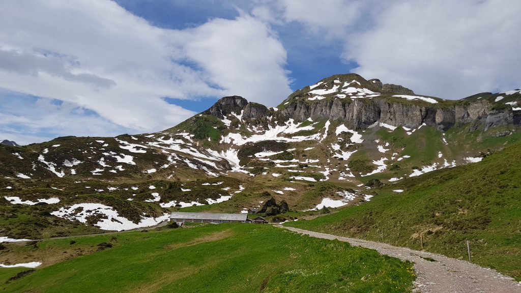 The buildings of Alp Mädems and Chammhüttli in the background.