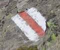 A Red Trail Marker