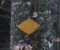 A Yellow trail Marker