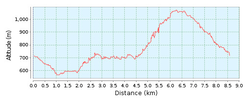 Giessbachfälle Hike Altitude profile
