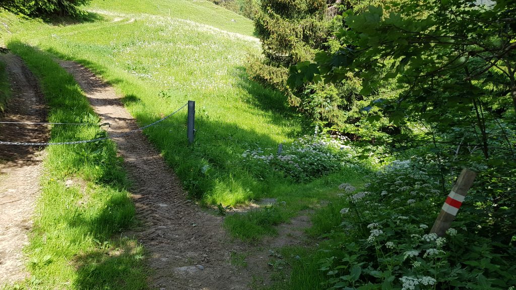 The end of the gravel lane and start of the footpath section