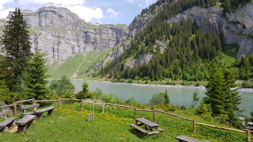 The BBQ and picnic area overlooking the lake