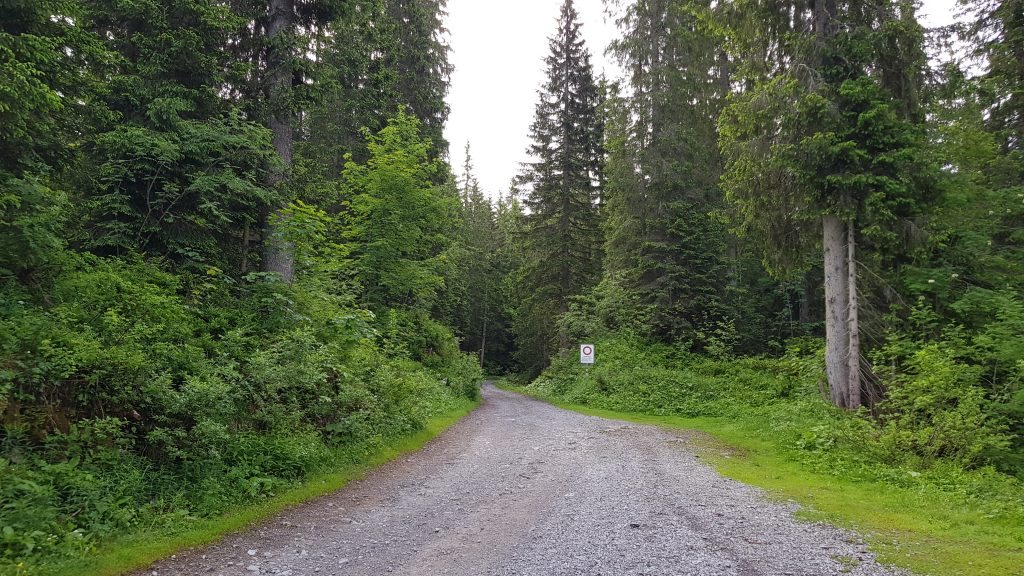 The track from Eigeliswald