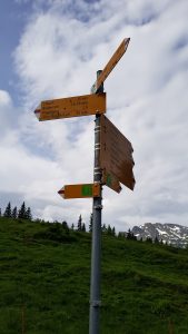 The signpost marking where the trail splits