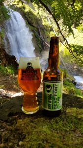 Dead Pony Club from Brewdog