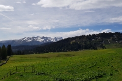 Looking across at Pizol after leaving the forest