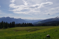 Looking across the meadows towards the Pizol region.
