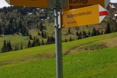 Trail signpost