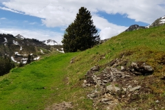 The grassy trail towards Alp Mädens.