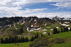 Looking across the meadows towards the Pizol region.