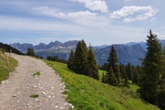 Looking back along the gravel trail