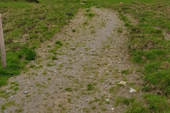 The start of the trail from Alp Mädens