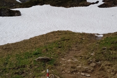Another snowfield to be crossed