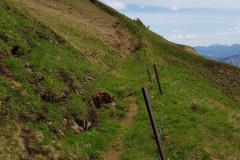The path leading up to the ridge