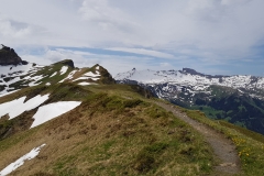 Looking back along the ridge trail towards Hochfinsler