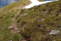 Looking along the trail down from Guscha