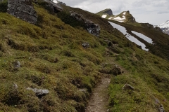 Looking back along the trail