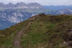 Looking along the trail down from Guscha