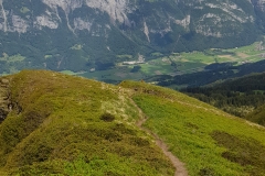 Looking along the ridge trail