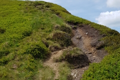 Looking back up the trail