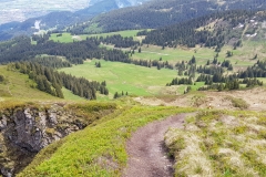 The trail splitting to go down the side of the ridge