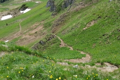 The trail leading down the side of the ridge