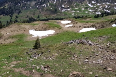 The trail leading down the side of the ridge