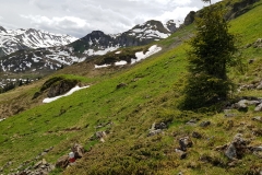 The trail leading down the side of the ridge