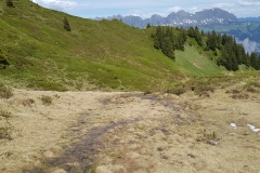 The trail lower down the side of the ridge
