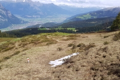 The trail lower down the side of the ridge