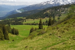 Looking across the valley towards  the Pizol region