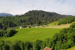 The view over the valley from the road to Andiast