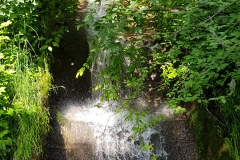 One of the many streams that run down beside the trail