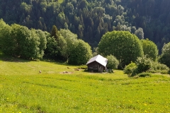 One of the many huts