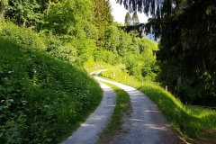 The original track becomes a bit rougher