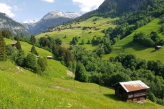 Looking along the valley, with the mountains in the distance