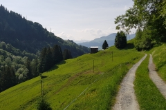 Looking back along the trail