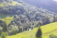 Looking down into the valley