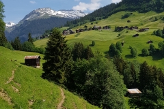 Looking along the valley, with the mountains in the distance