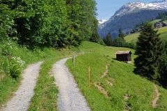 Looking along the valley, with the mountains in the distance