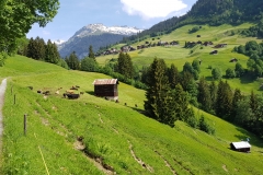Looking along the valley, with the mountains in the distance
