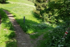 The end of the larger gravel track