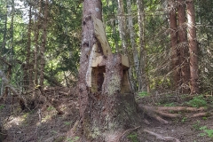 A chair carved out of a tree stump