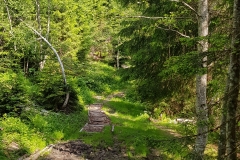 The path gets muddy in places