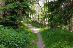The gravel path through the woods