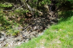 One of the many Alpine streams beside the path