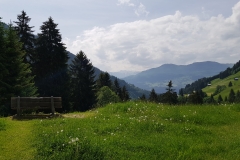 20180604_103524