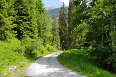 20180604_104007