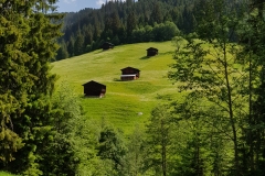 20180604_104036